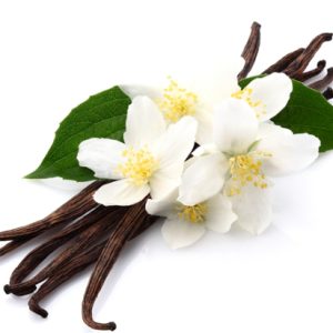 Vanilla Bean Gelato Tub (300ml)